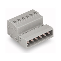 Wago Male Connector 2-Pole (Pack 100)