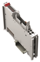 WAGO 16 OUTPUT BLOCK (RIBBON)