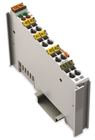 WAGO 2-CHANNEL ANALOGUE INPUT MODULE, FOR
