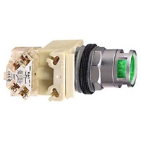SCHNEIDER ILLUM P/BUTTON GREEN 120V