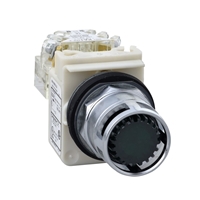SCHNEIDER 30MM PUSHBUTTON ILLUM