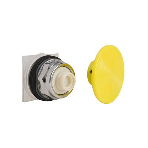 SCHNEIDER PUSHBUTTON (X21985)