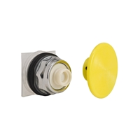 SCHNEIDER PUSHBUTTON (X21985)