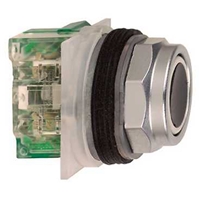 SCHNEIDER FLUSH 30MM BLACK PUSHBUTTON SPRING RTN