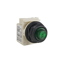 Schneider Electric PILOT LIGHT 120V 30MM SK +OPTIO