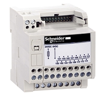 SCHNEIDER INPUT LEAD