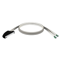 SCHNEIDER FCN 2 X 20 WIRE 10M CABLE