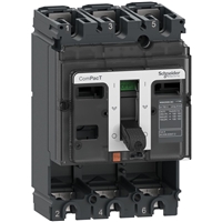 Schneider Electric NSX250F DC 3P 36kA Frame
