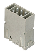 ILME 5 MODULE MALE