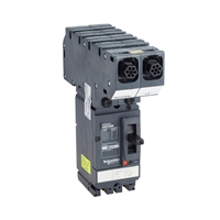 SCHNEIDER PP4 MCCB 63A 2P L3-N