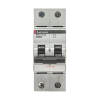 MITSUBISHI (292065) BHW-T10 2P TYPE D 10A MCB