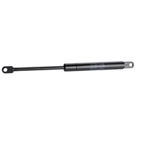 SCHNEIDER GAS SPRING SD MAX 29KG