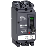 SCHNEIDER NSX100N 2Pole 80A