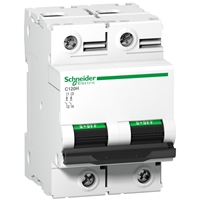 SCHNEIDER iC120H 2P 100A D CURVE MCB