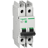 SCHNEIDER C60BP 2P C 6A 10KA UL489