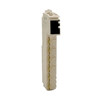 SCHNEIDER MOD. 2AI +10V/0-20MA /4-20M 12 BITS