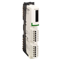 SCHNEIDER 2 Channel Analogue Voltage Output