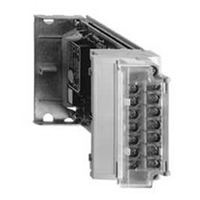 SCHNEIDER 2 CHANNEL ANALOGUE OUTPUT UNIT