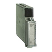 SCHNEIDER 16 Channel 1240VAC Input Module