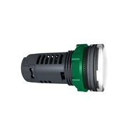 MONOLITHIC LED PILOT, WH, 24V