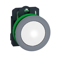 Schneider Electric flush mounted pilot light - com