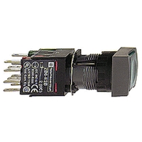 SCHNEIDER ILLUMINATED FLUSH PUSHBUTTON