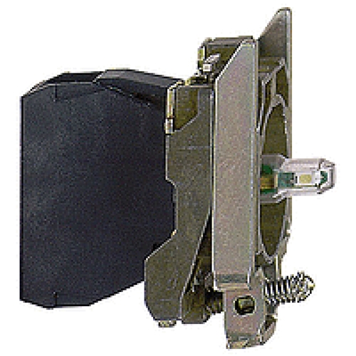 SCHNEIDER P. LIGHT BODY GREEN
