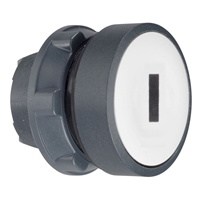 SCHNEIDER PUSHBUTTON FLUSH WHITE MARKED I