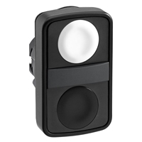 Schneider Electric white flush/black flush double-