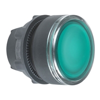 SCHNEIDER PB HEAD GREEN