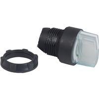 SCHNEIDER 2 POS STAY PUT ILLUMINATED P/BUTTON