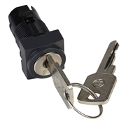 SCHNEIDER KEYSWITCH