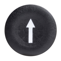 SCHNEIDER ARROW CAP