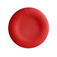 SCHNEIDER End cap red